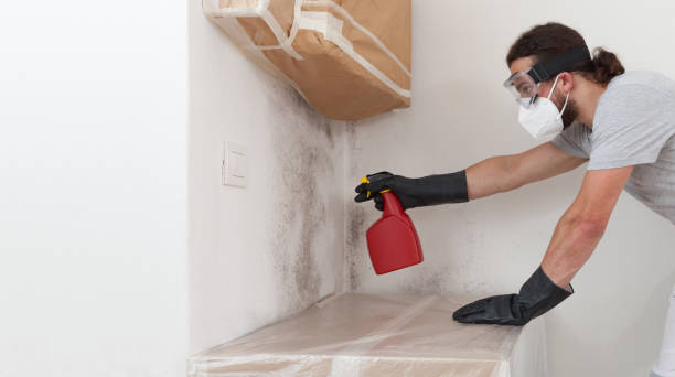 Professional Mold Remediation technician working in Bellmore, NY