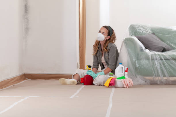 Reliable Mold Remediation contractor in Bellmore, NY by 24 Hour Mold Removal